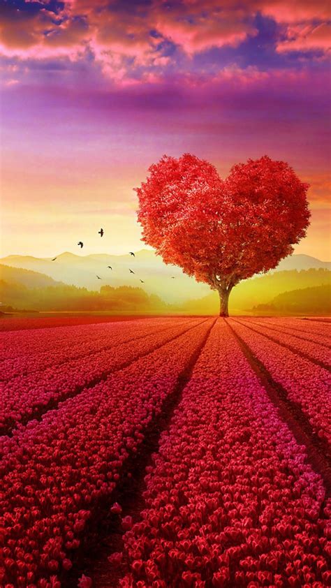 HD Love Wallpapers .